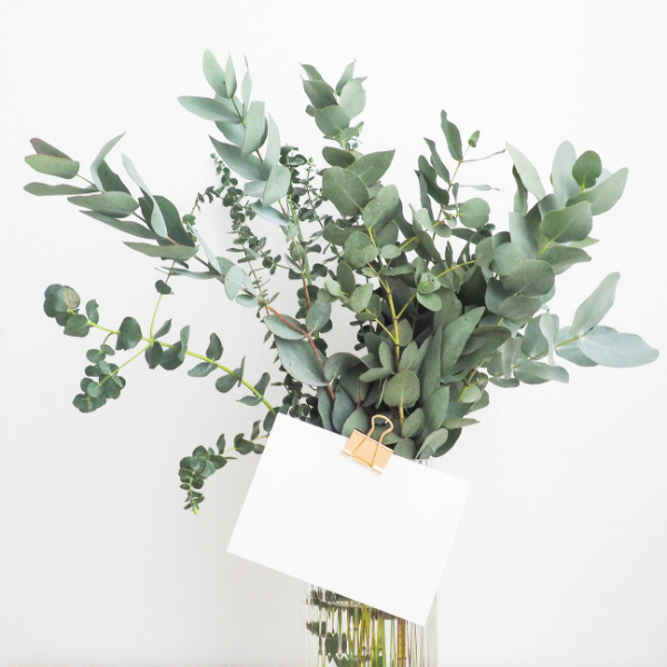 Eucalyptus arrangement with a card 